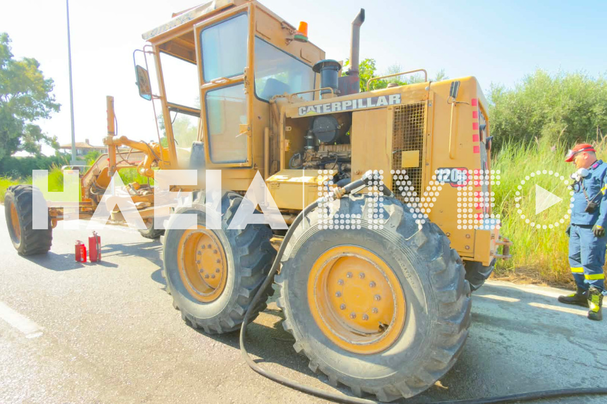 fotia greinter 1new