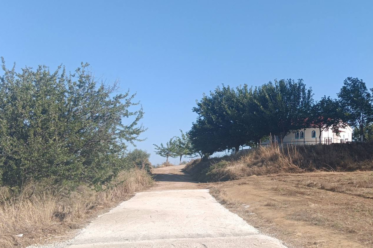pineia erga 3
