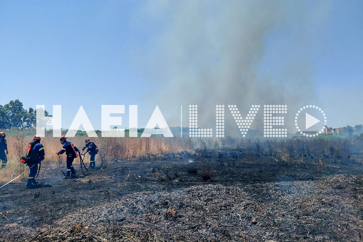 Fotia Droseli 5
