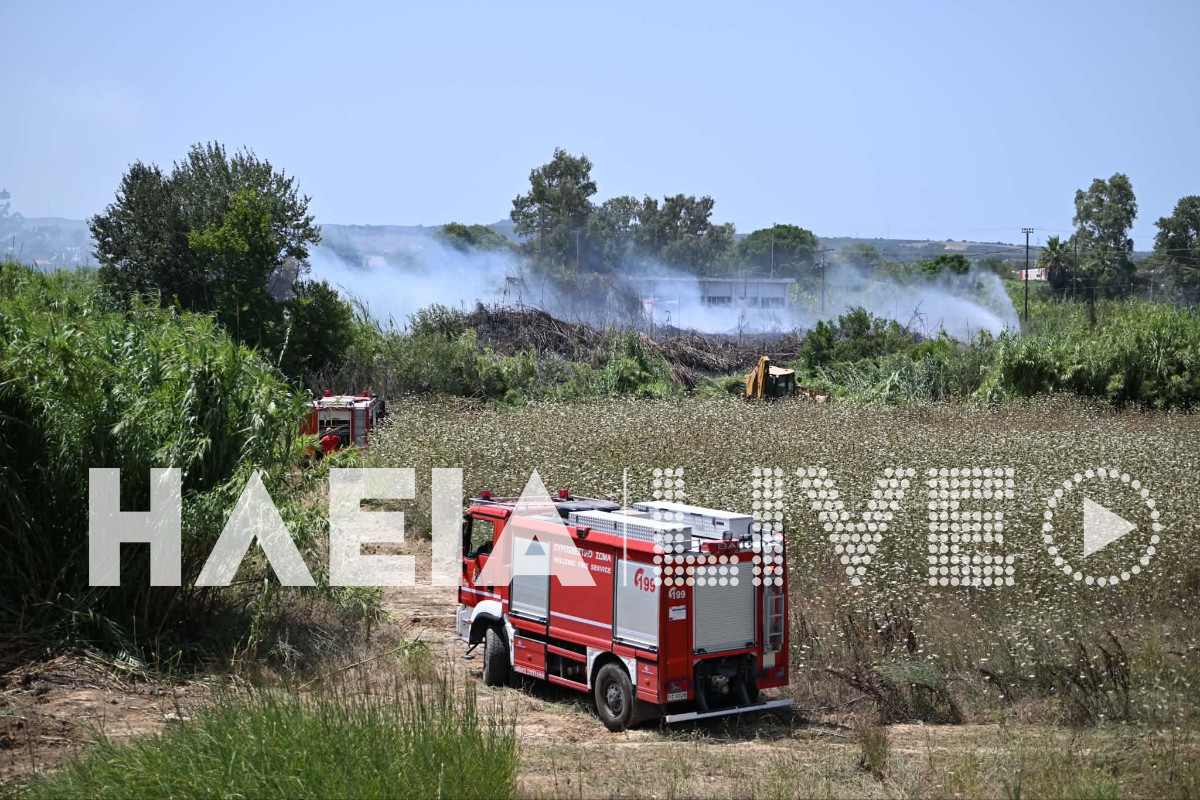 Fotia vartholomio purosvestiko