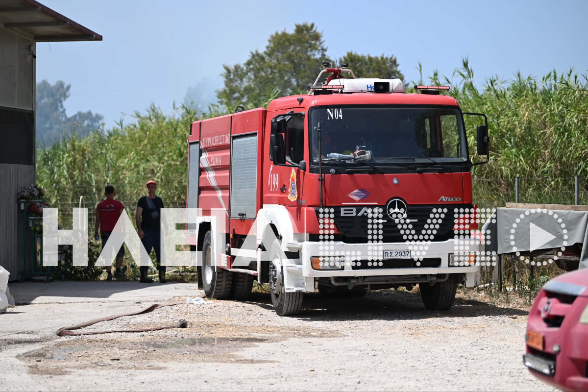 Fotia vartholomio purosvestiko 2