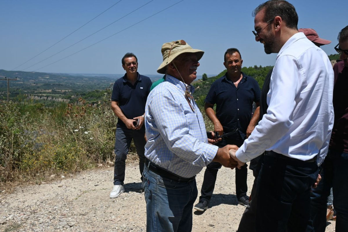 dt farmakis 6