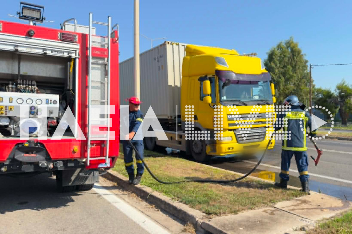 fotia fortigo 6 neo