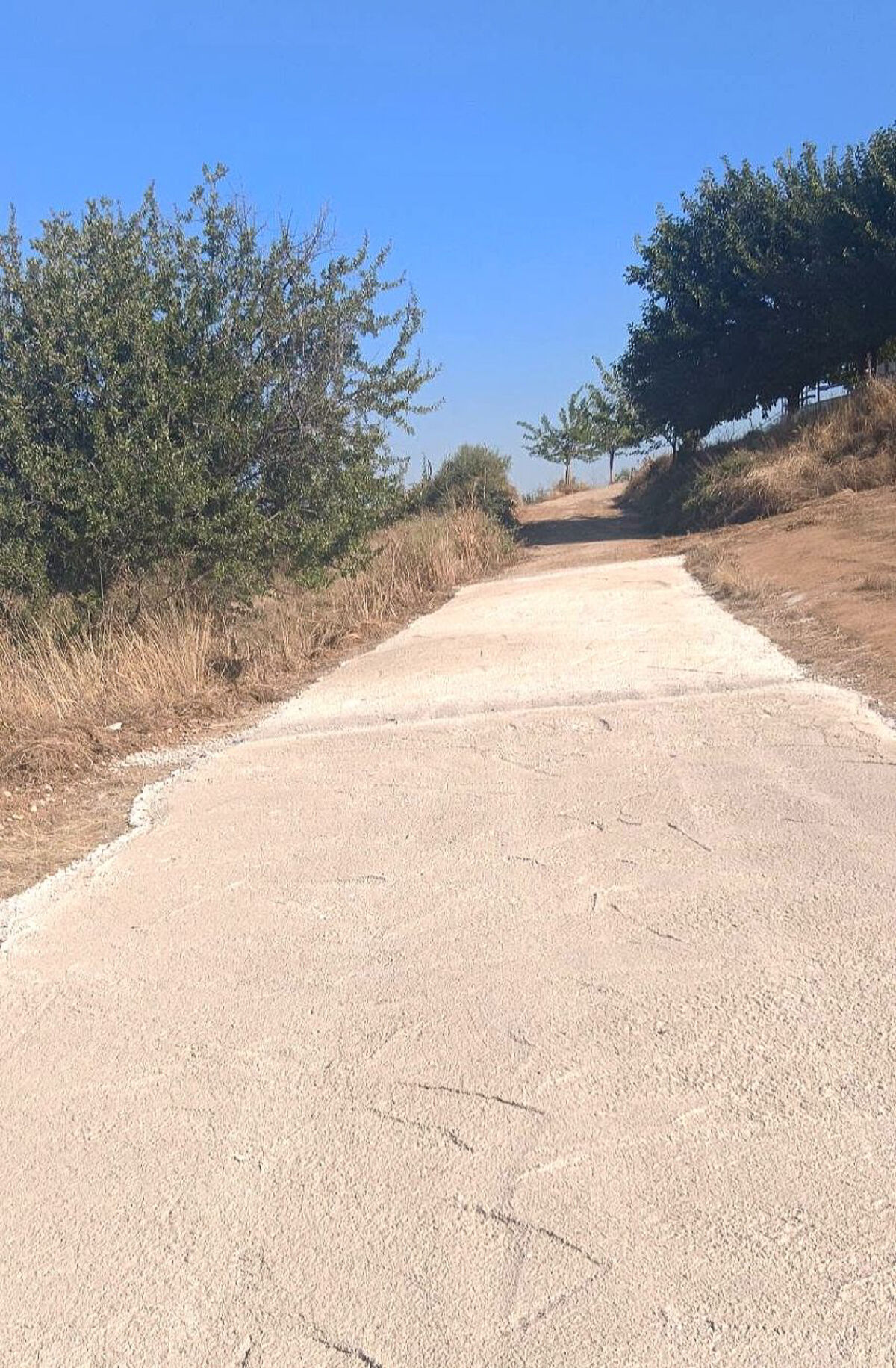 Erga Pineia 2