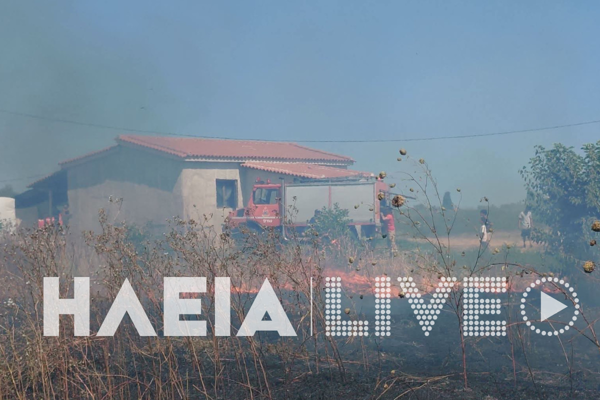 Fotia tragano 1