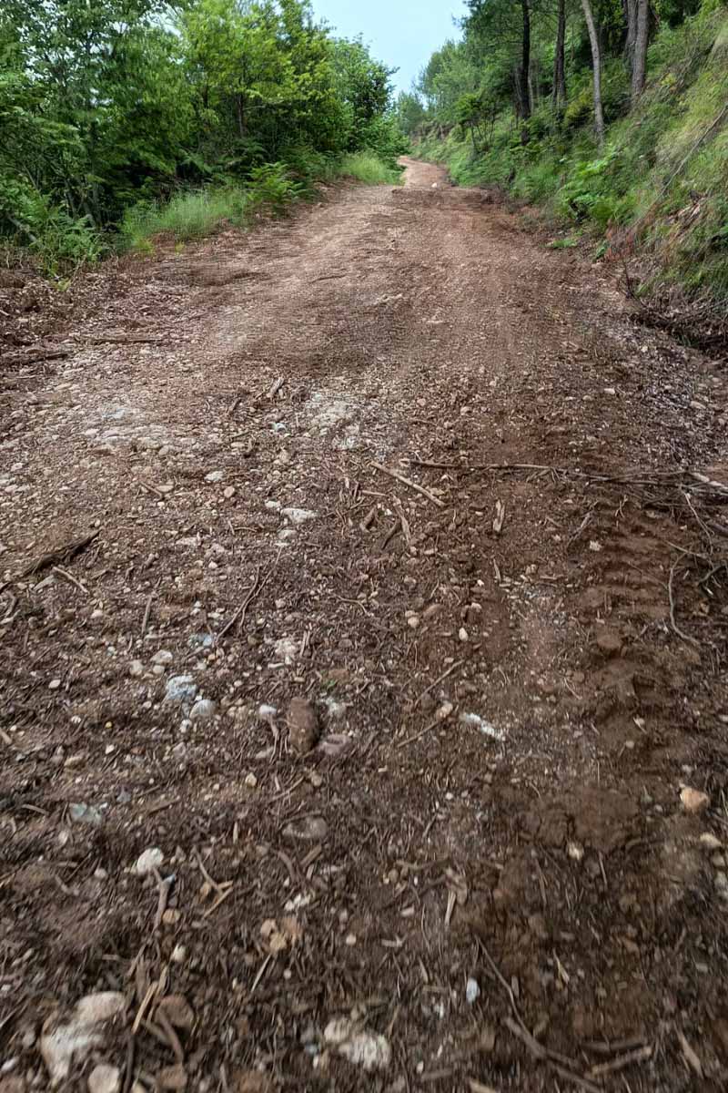 dt agrotodasikoi dromoi 1