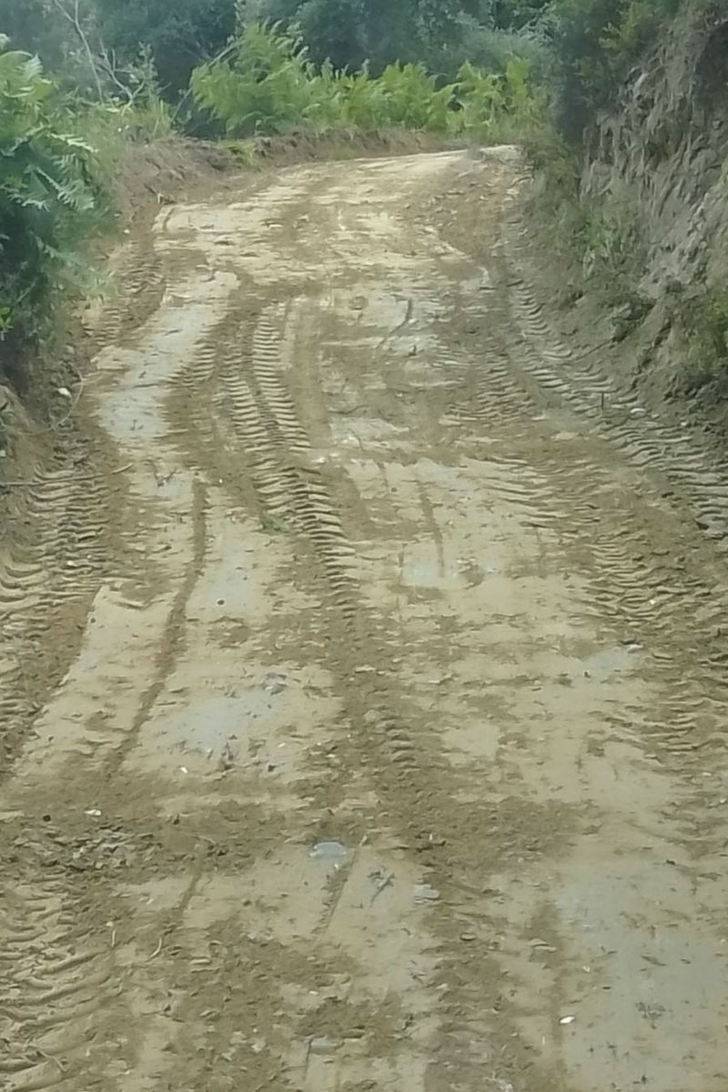 dt agrotodasikoi dromoi 10