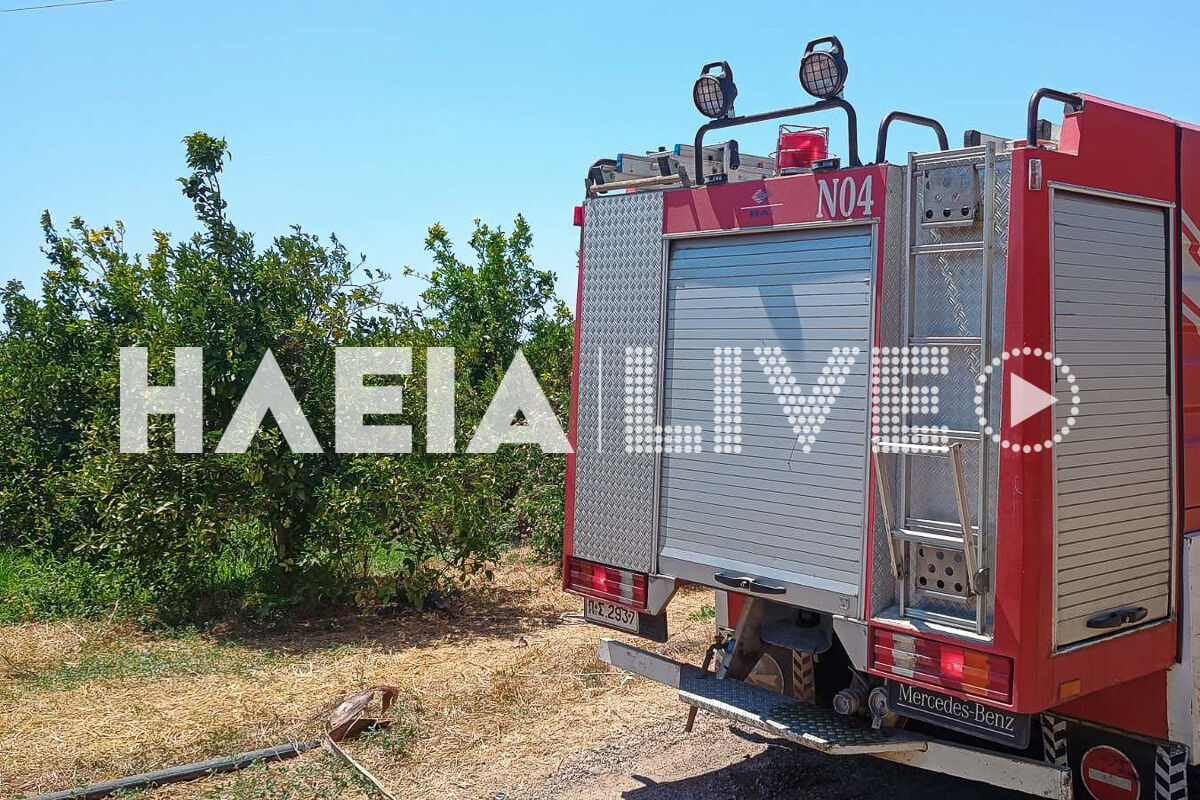Fotia Douneika 3 3