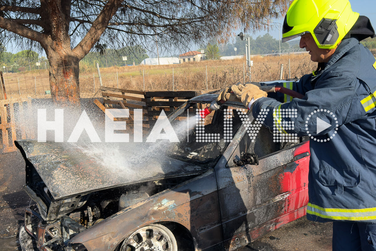Fotia IX Kavouri 5