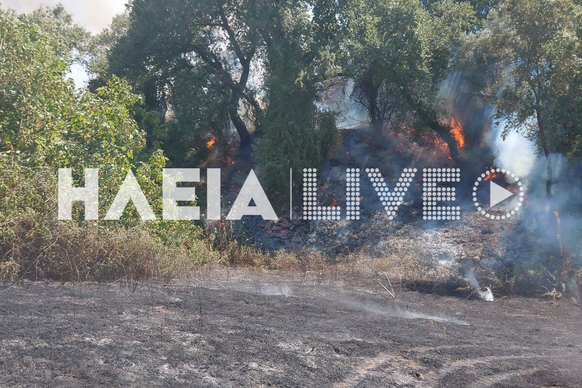 Fotia tragano 3 8 3
