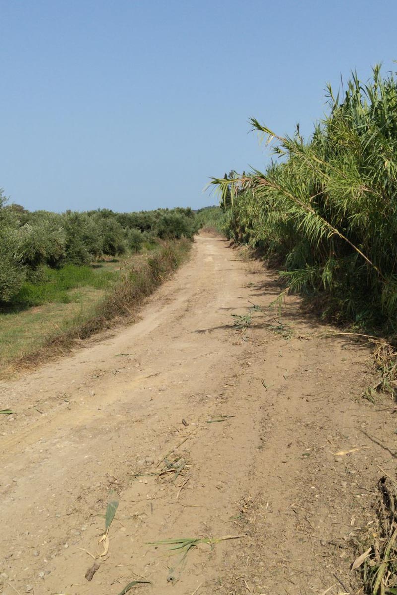 dt odopoiia 8