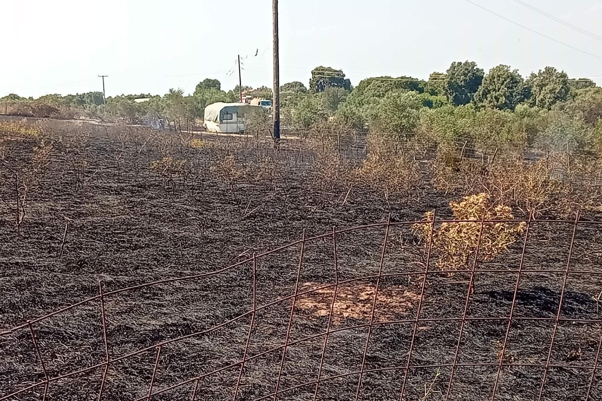fotia agia marina 15