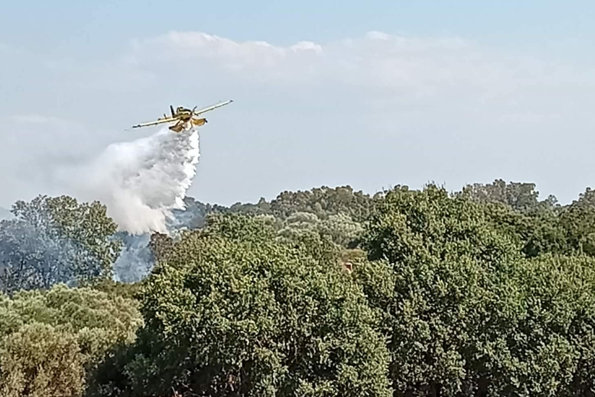 fotia agia marina 17