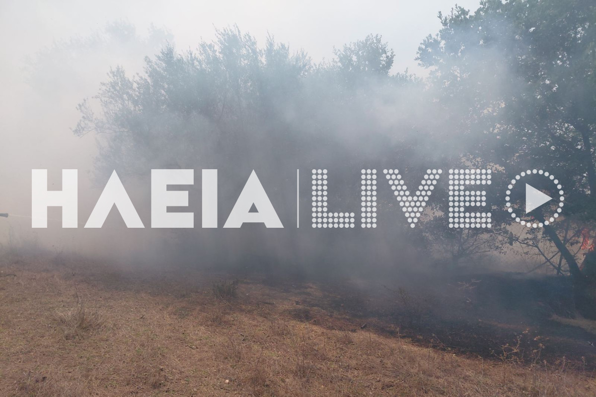 fotia agia marina 4