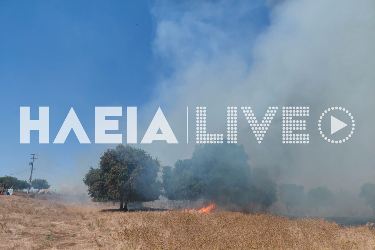 fotia agia marina 5