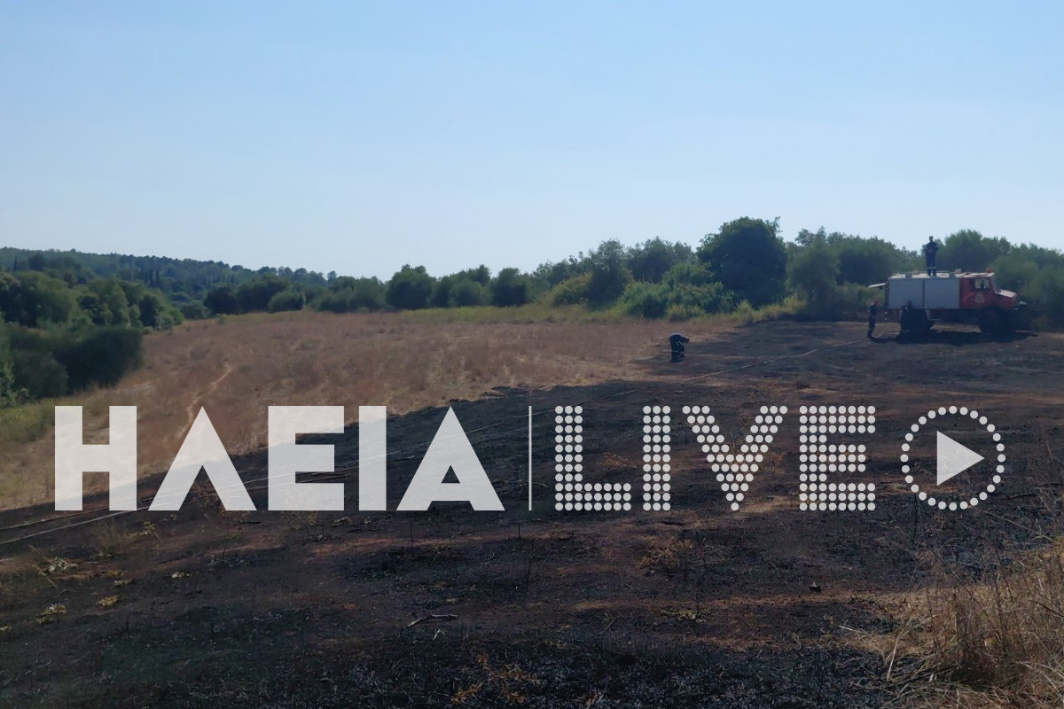 fotia agia marina 8