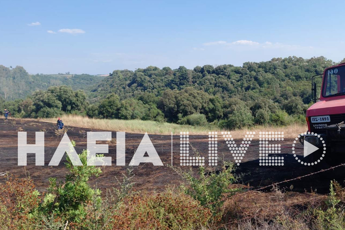 fotia agia marina 9