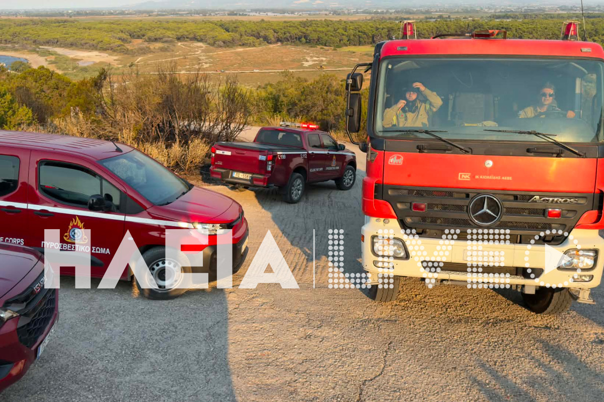 fotia kounoupeli 6