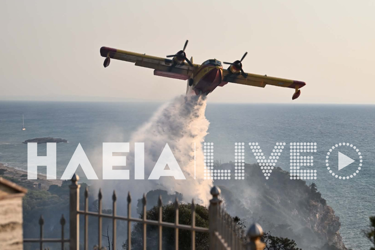 fotia kounoupeli 8