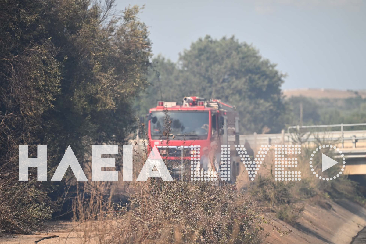 tragano fotia purosvestiko