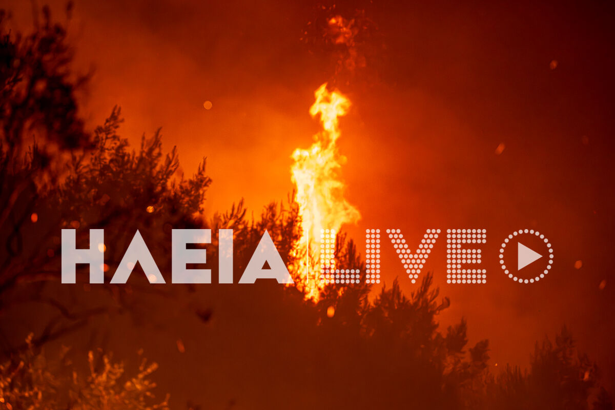 Fotia Alfeiousa New 3