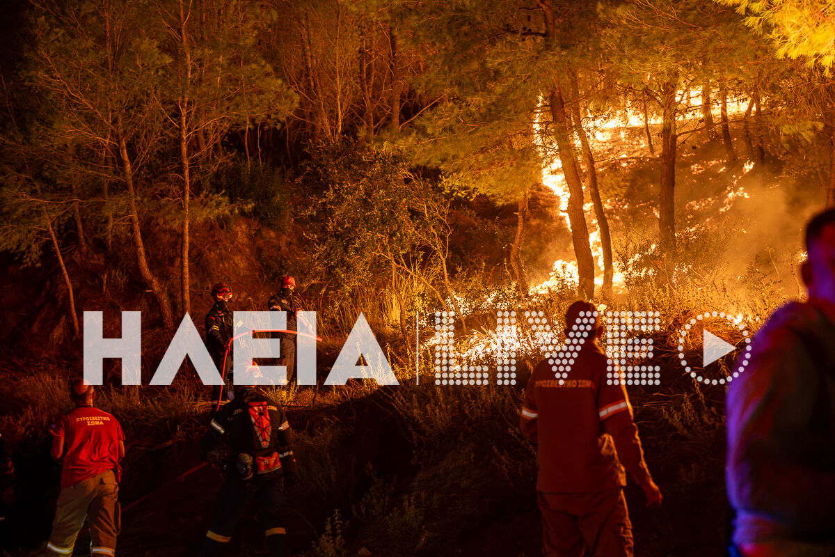 Fotia Alfeiousa New 4