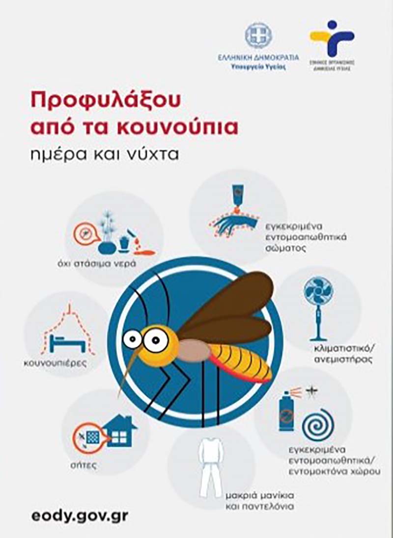 dt kounoupia 1