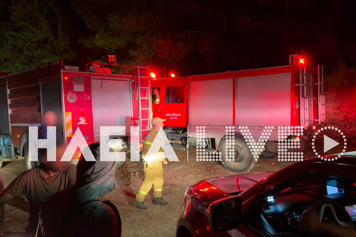 fotia alfeiousa 10