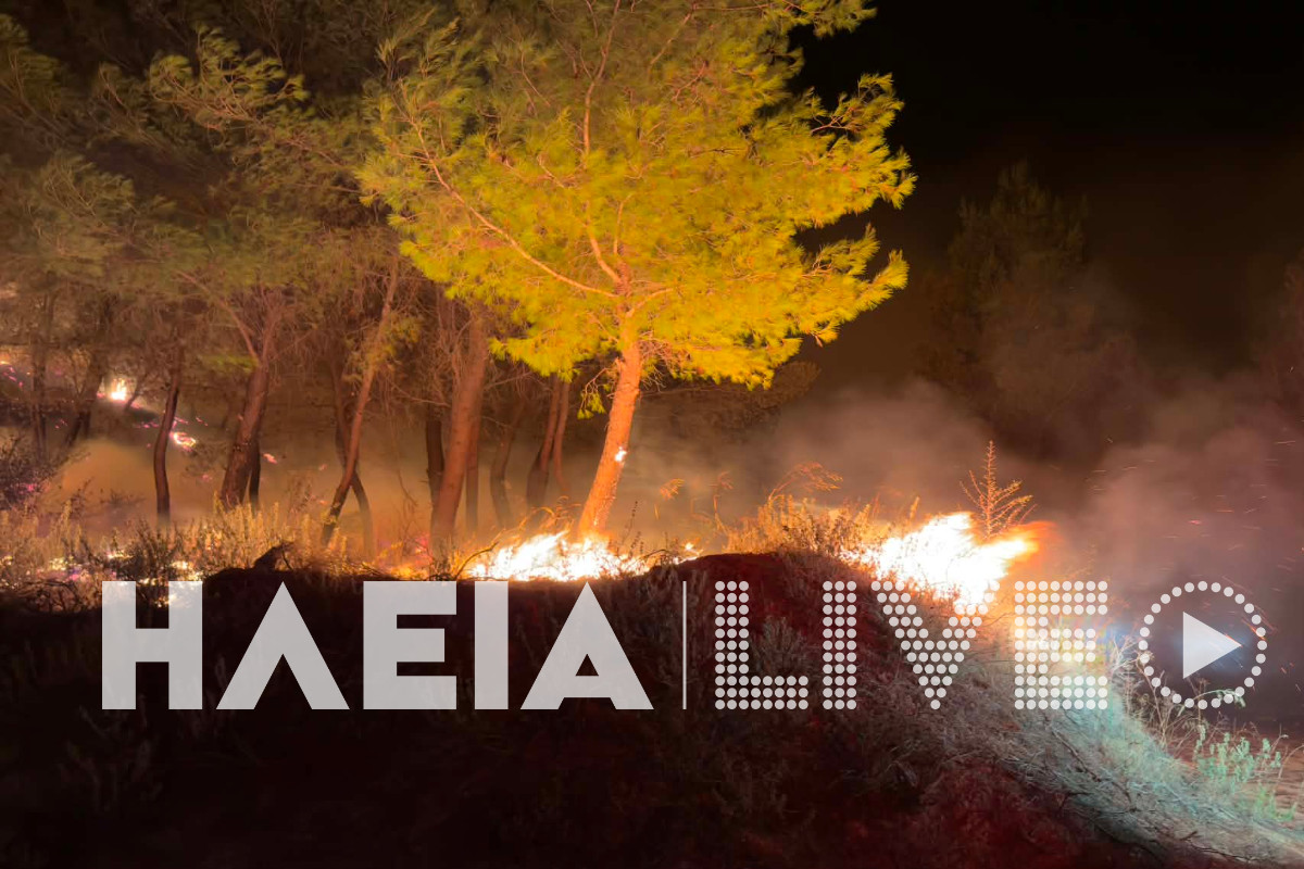 fotia alfeiousa 11