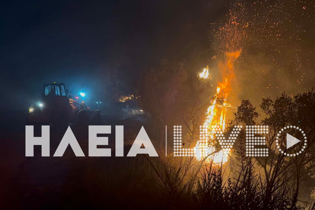 fotia alfeiousa 16