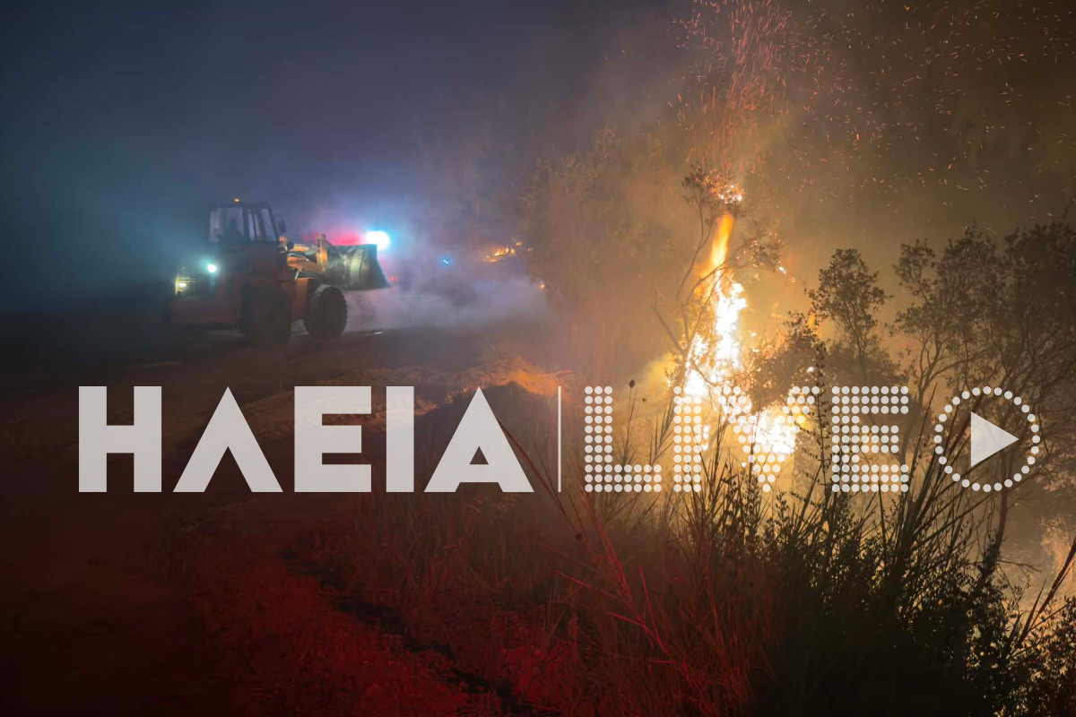 fotia alfeiousa 8