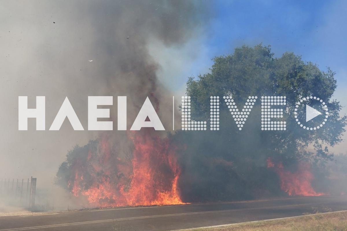 fotia koteika 3