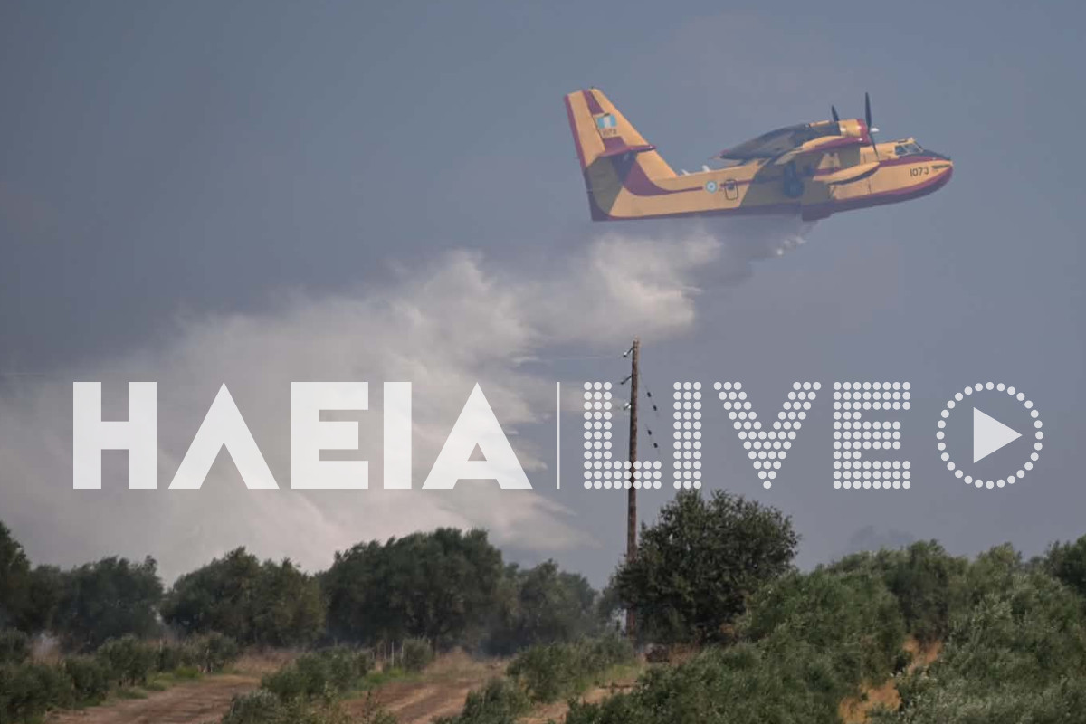 fotia koteika 7