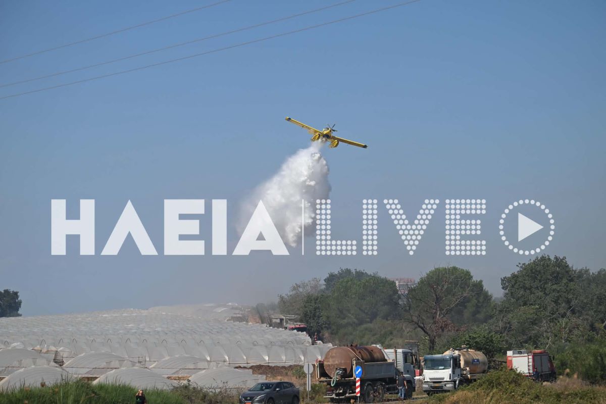 fotia koteika thermokipia 2