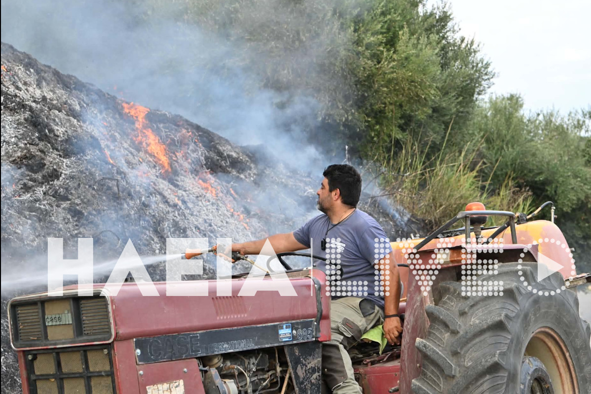 fotia mouzaki 32