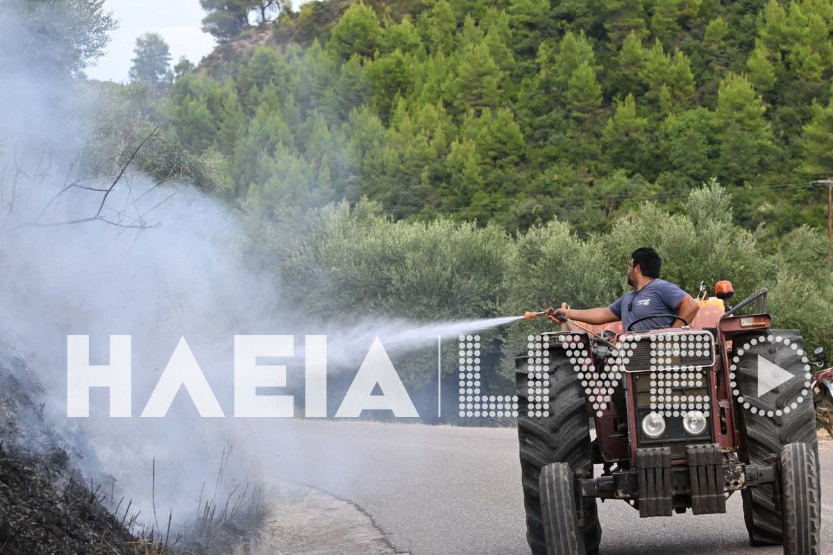 fotia mouzaki 33