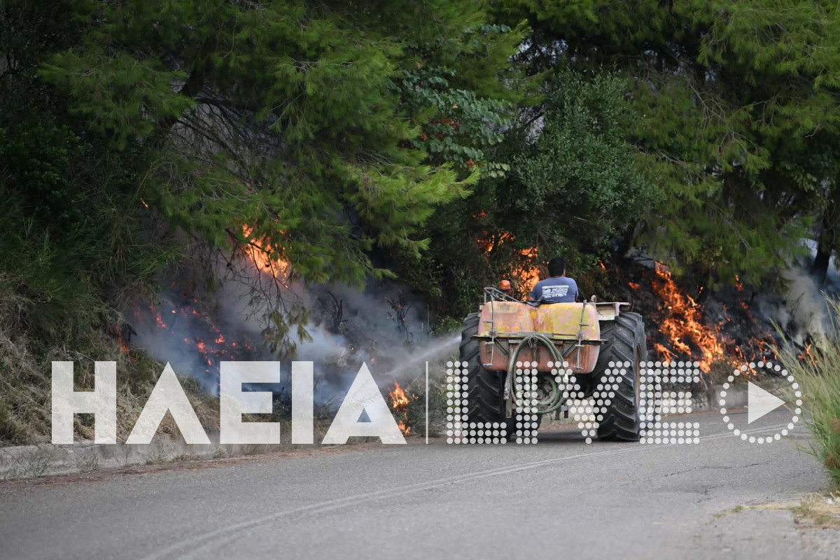 fotia mouzaki 36
