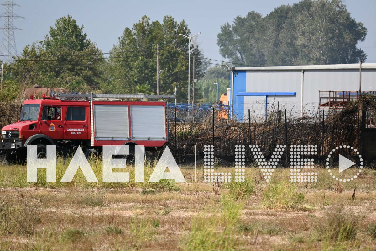 fotiia gastouni 7