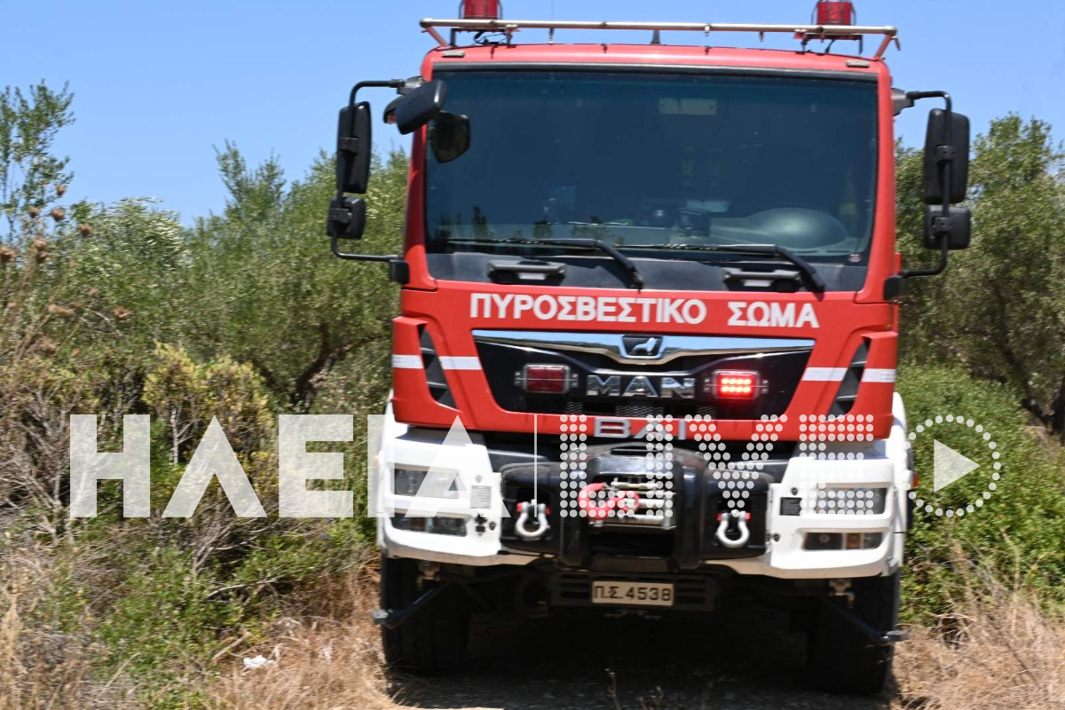 xavari fotia 2