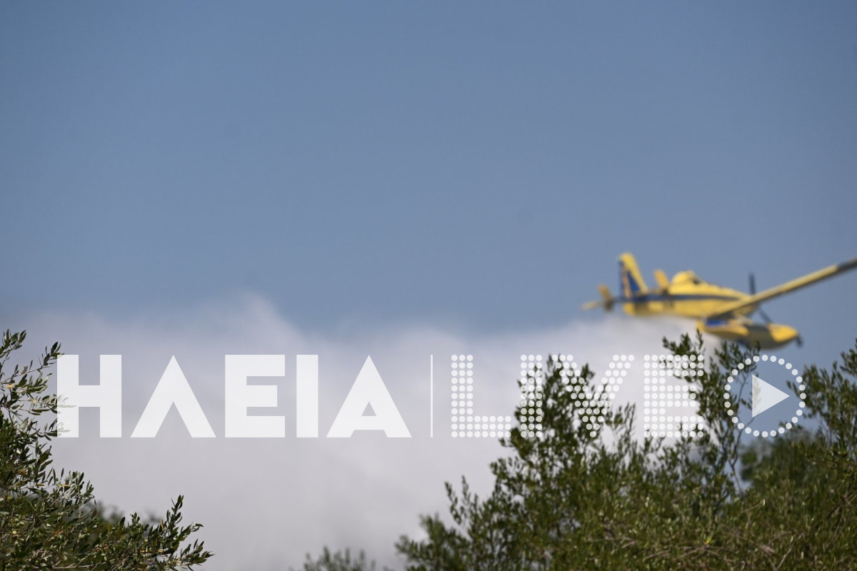 xavari fotia 5