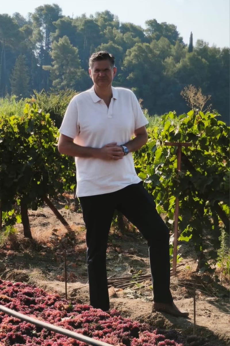 dt kalamatianos stafida 1