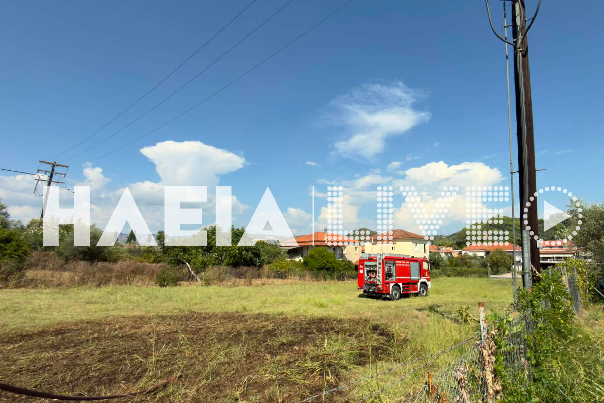 fotia olumpia 2