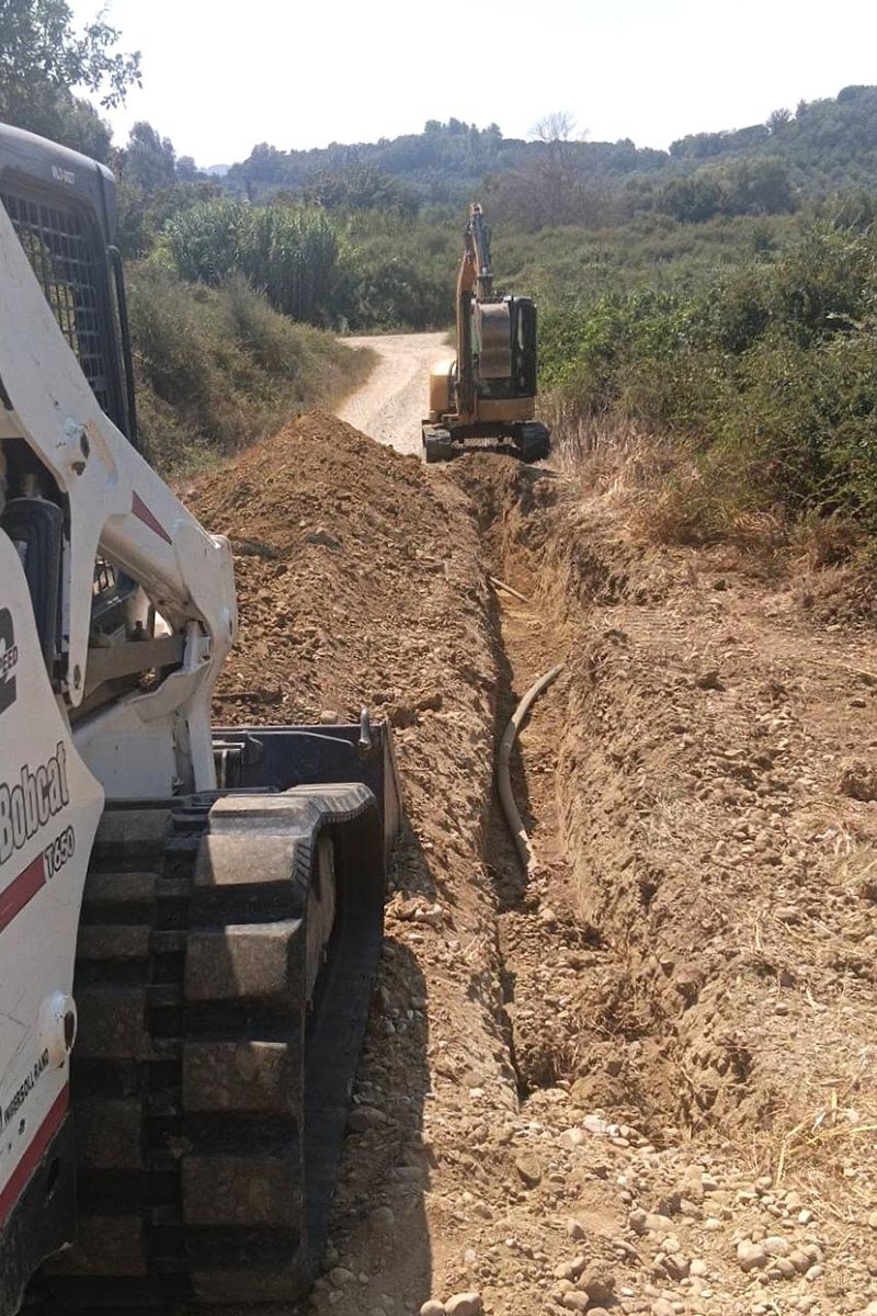 dt erga udreusis pineia 1