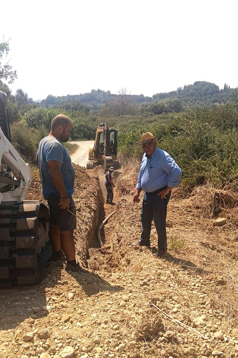 dt erga udreusis pineia 3