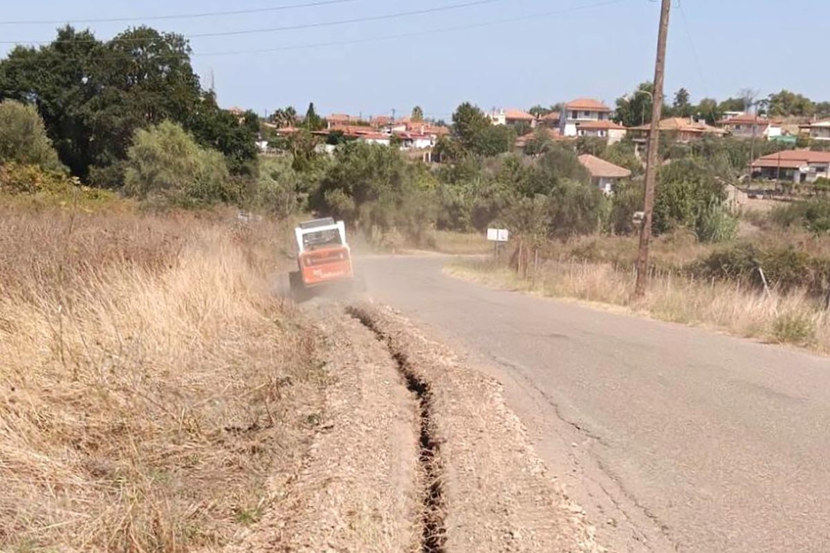 dt erga udreusis pineia 4