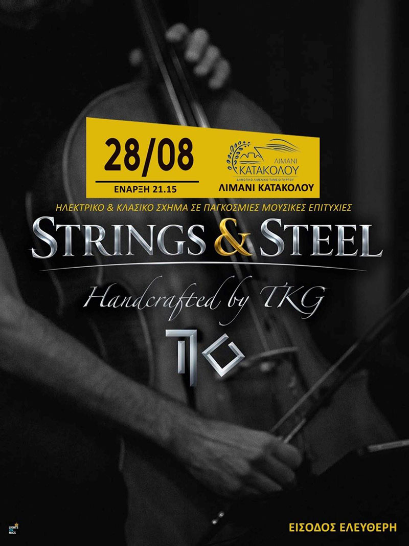dt strings steel 2