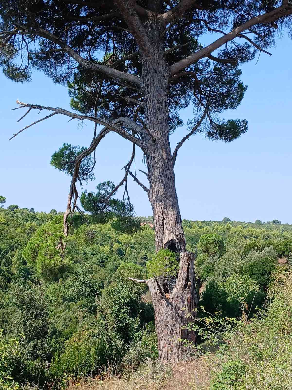 xalepiow se kooukounaria 2