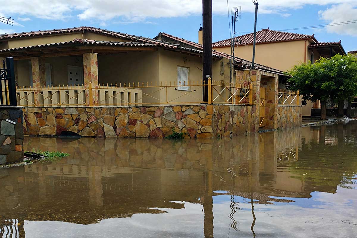 dt ampelonas 4