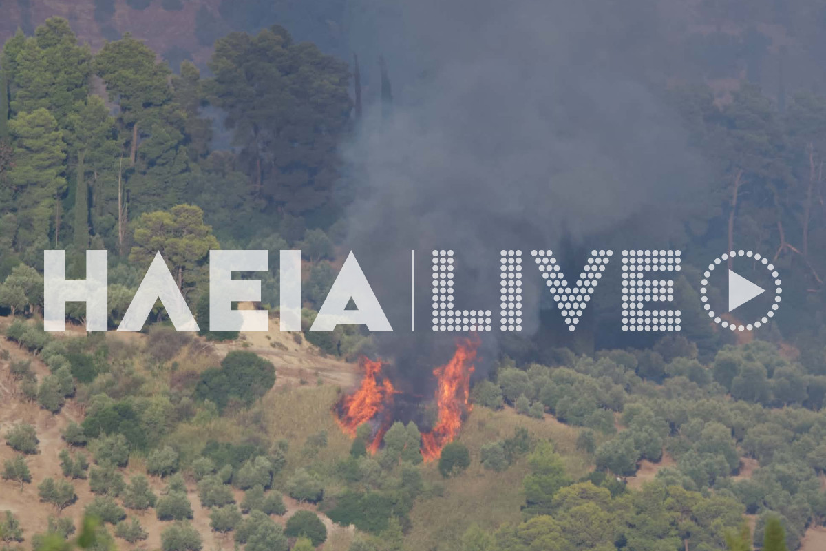 skillountia fotia 21