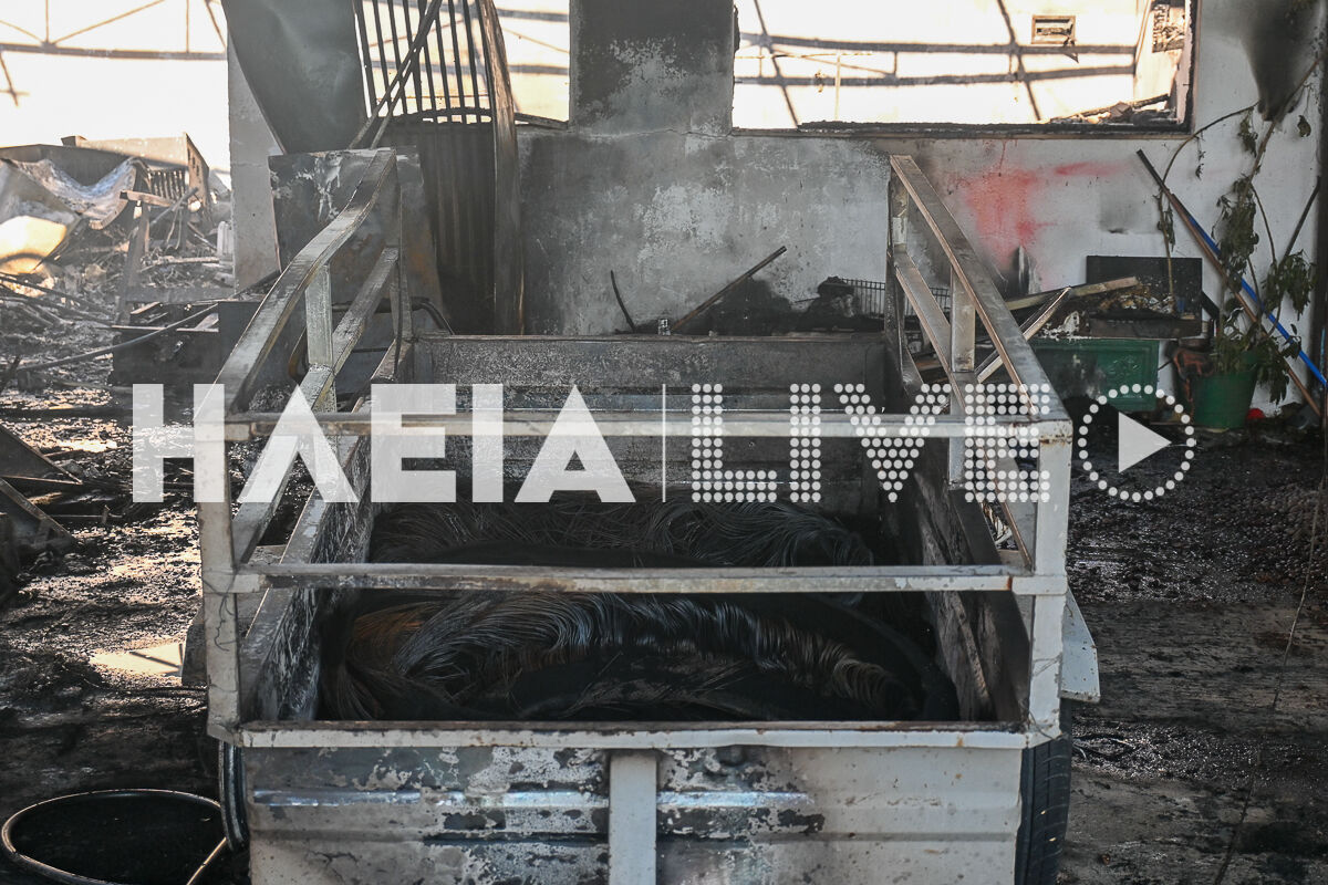 Fotia Varth Mera 2